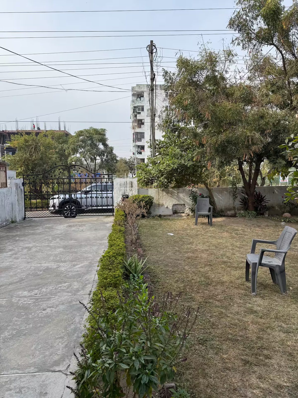 Grass garden with leafy shrubs, a central tree, two outdoor chairs, and a white building with glass-panelled doors. Neighbouring residential buildings are visible beyond the boundary wall.