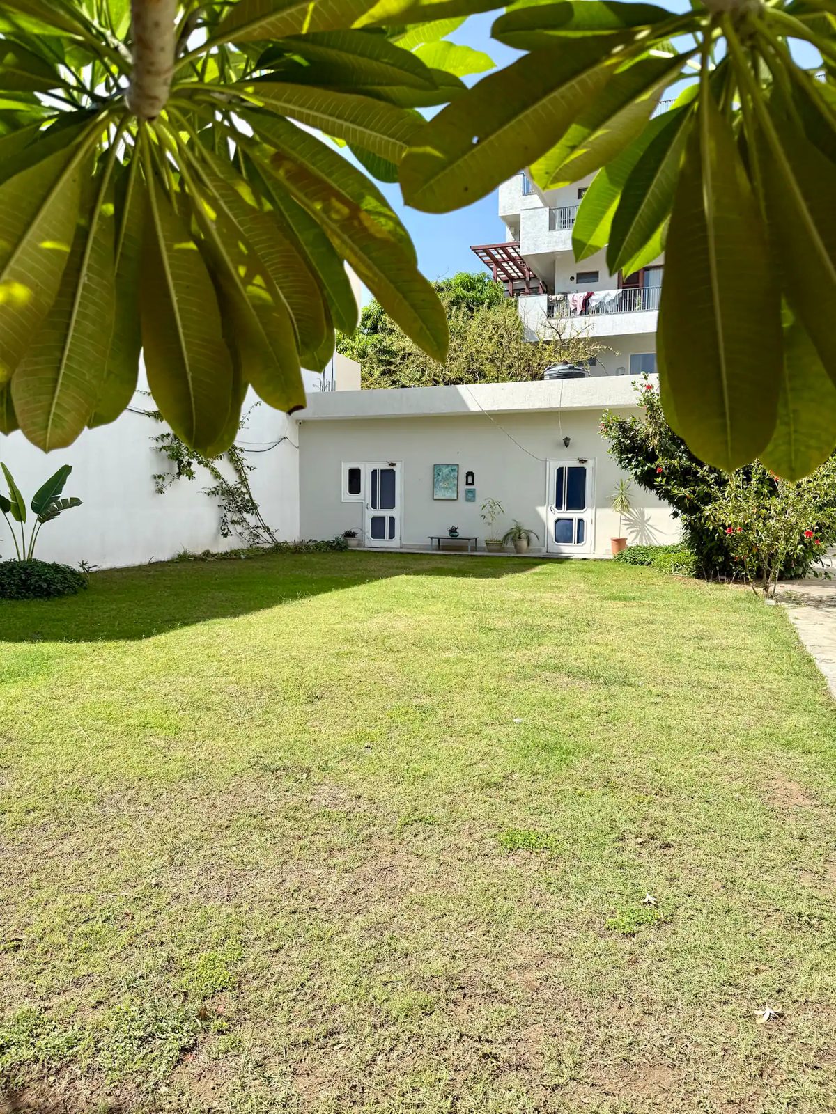 Large grass lawn bordered by white walls and landscaped with trees and shrubs. A low building with two doors, potted plants, and a bench is visible at the far end.