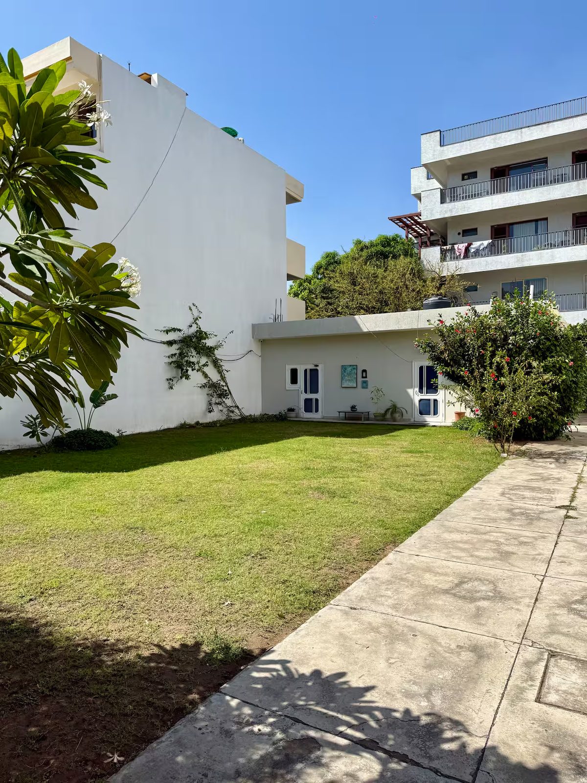 Garden viewed through leafy tree branches, with a broad lawn, white building, two doors, potted plants, flowering shrubs, and neighboring structures visible in daylight.