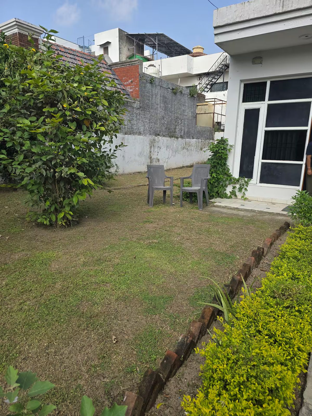 Garden with a grass lawn, leafy plants, trimmed shrubs, two outdoor chairs, and a white building with glass-paneled doors and windows.