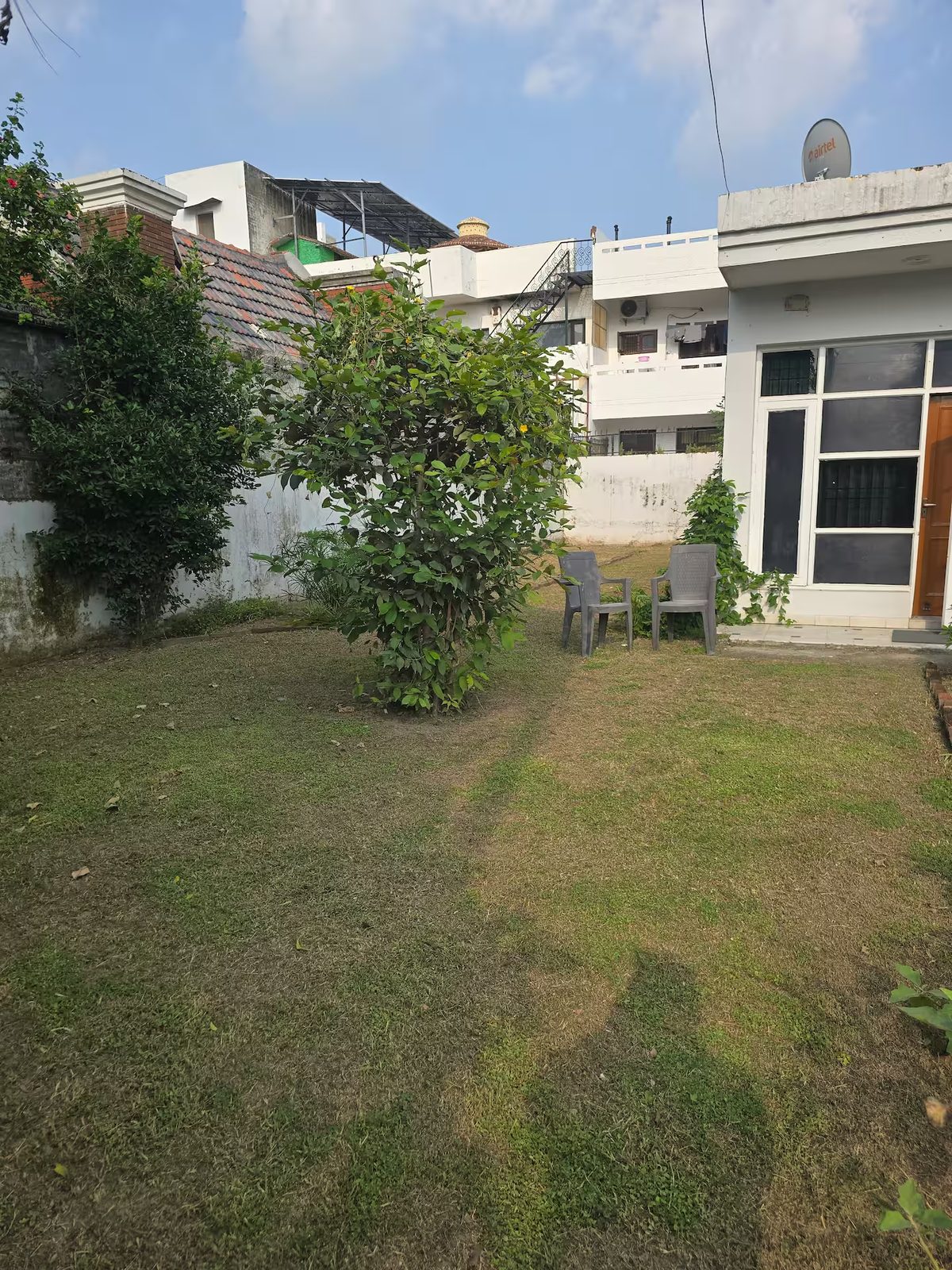 Grass garden bordered by trimmed hedges and a paved walkway, with mature trees and shrubs along a boundary wall. A building is visible beyond the garden.