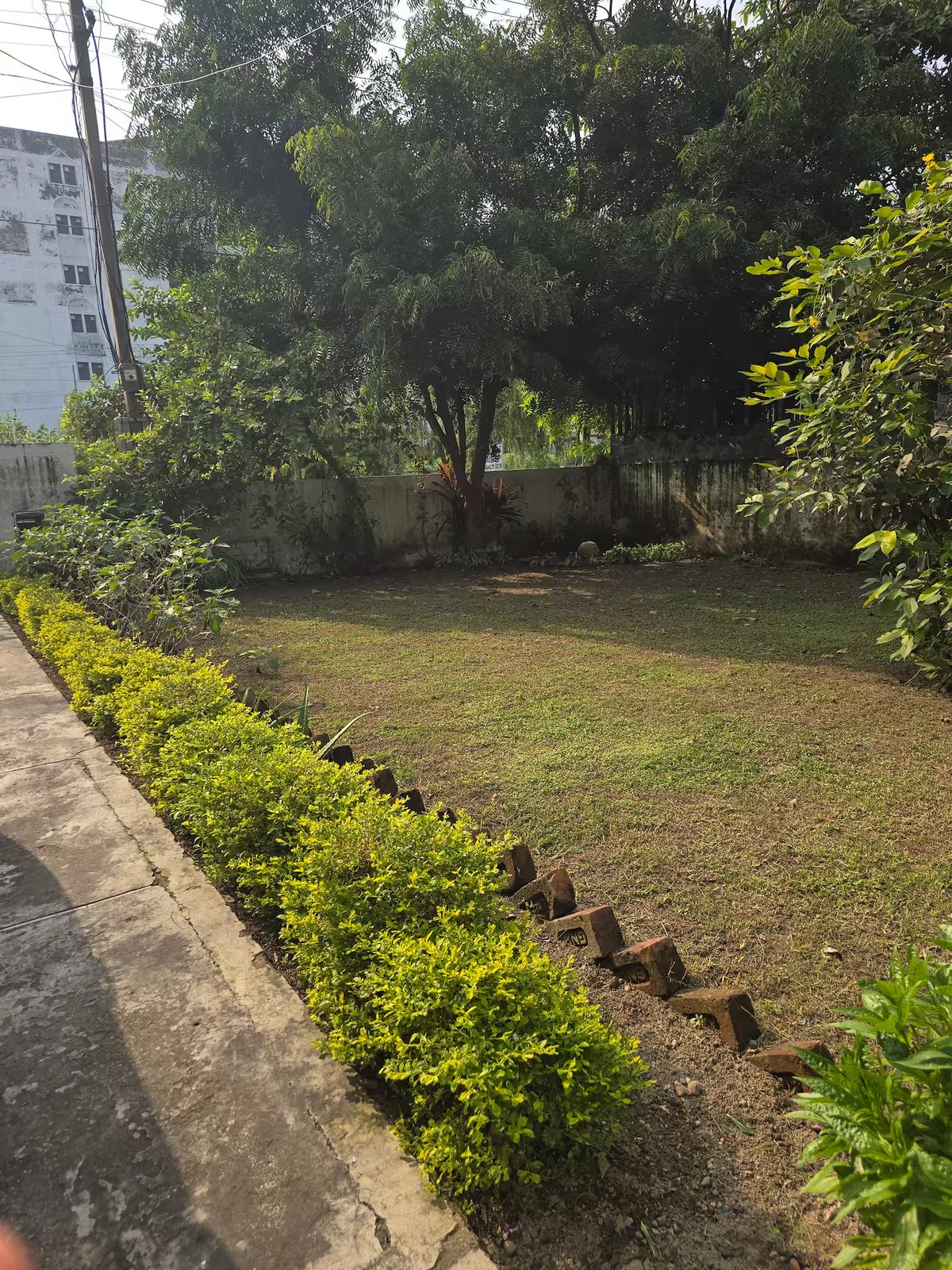 Garden with a grass lawn, leafy plants, trimmed shrubs, two outdoor chairs, and a white building with glass-paneled doors and windows.